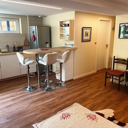 Appart Prive Dans Villa Meinau Residentiel Strasbourg Ngoại thất bức ảnh