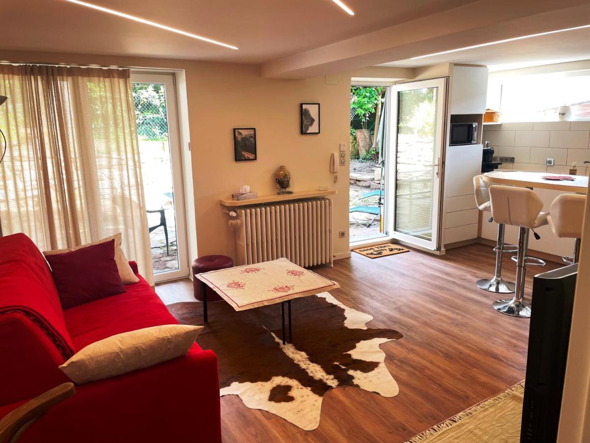 Appart Prive Dans Villa Meinau Residentiel Strasbourg Ngoại thất bức ảnh
