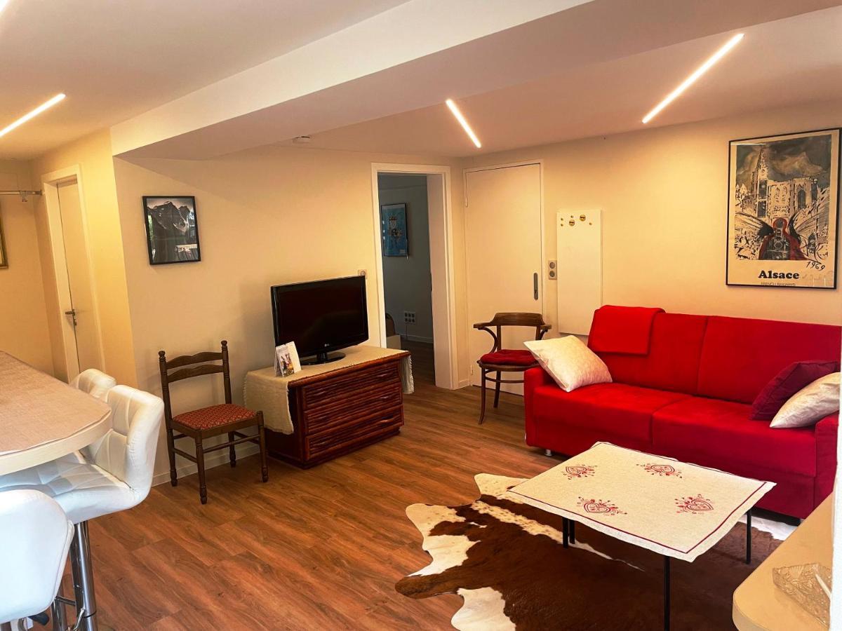 Appart Prive Dans Villa Meinau Residentiel Strasbourg Ngoại thất bức ảnh