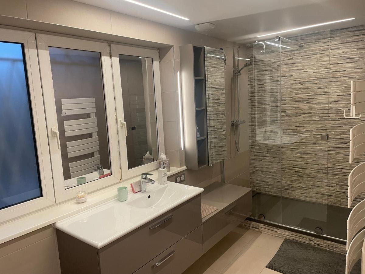 Appart Prive Dans Villa Meinau Residentiel Strasbourg Ngoại thất bức ảnh