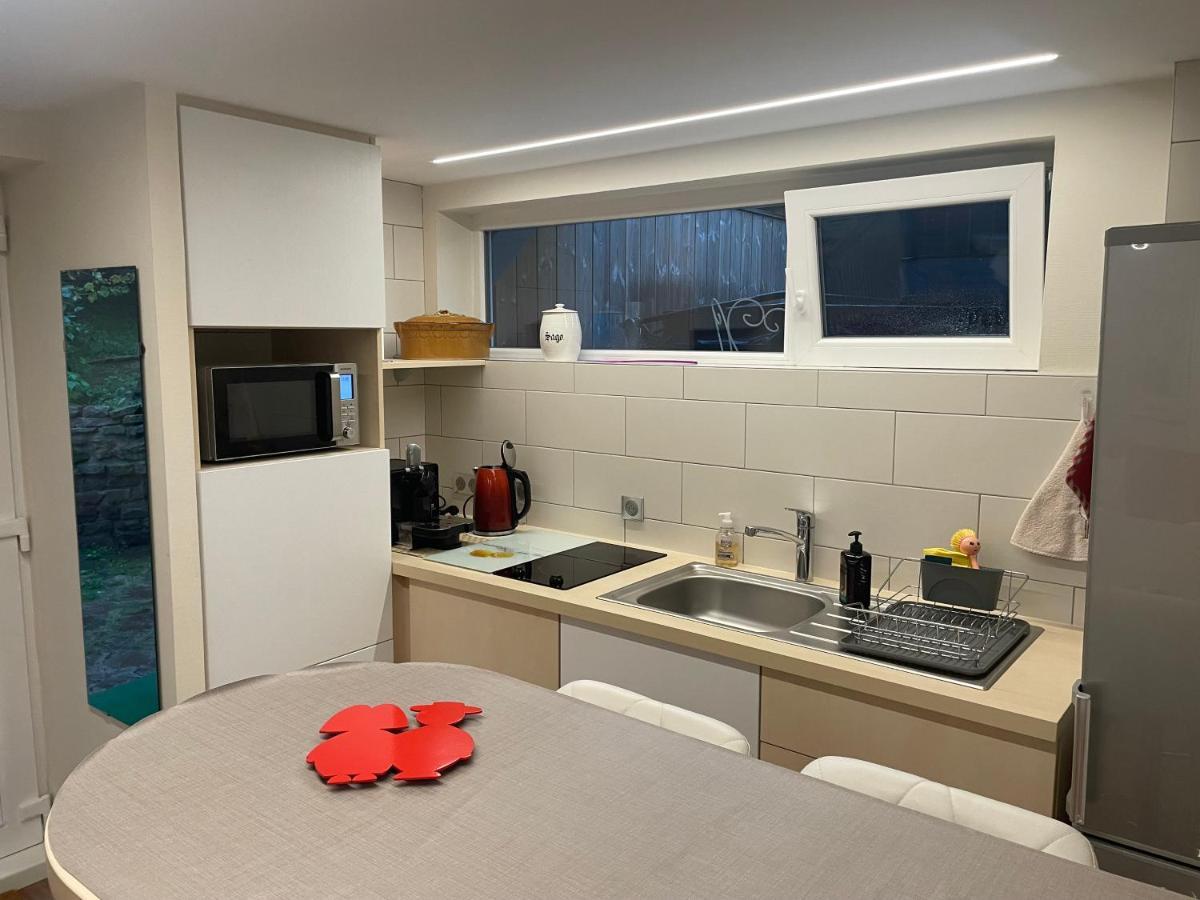 Appart Prive Dans Villa Meinau Residentiel Strasbourg Ngoại thất bức ảnh