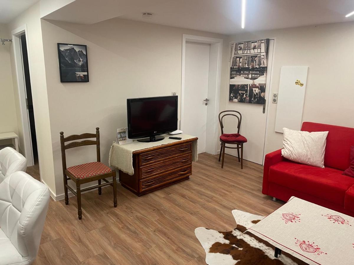 Appart Prive Dans Villa Meinau Residentiel Strasbourg Ngoại thất bức ảnh
